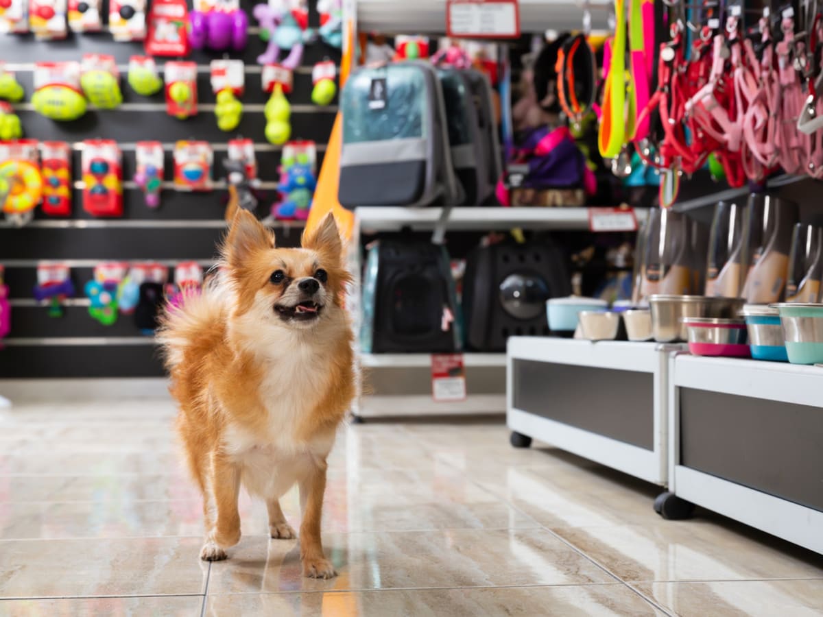 Pet store in the area sales