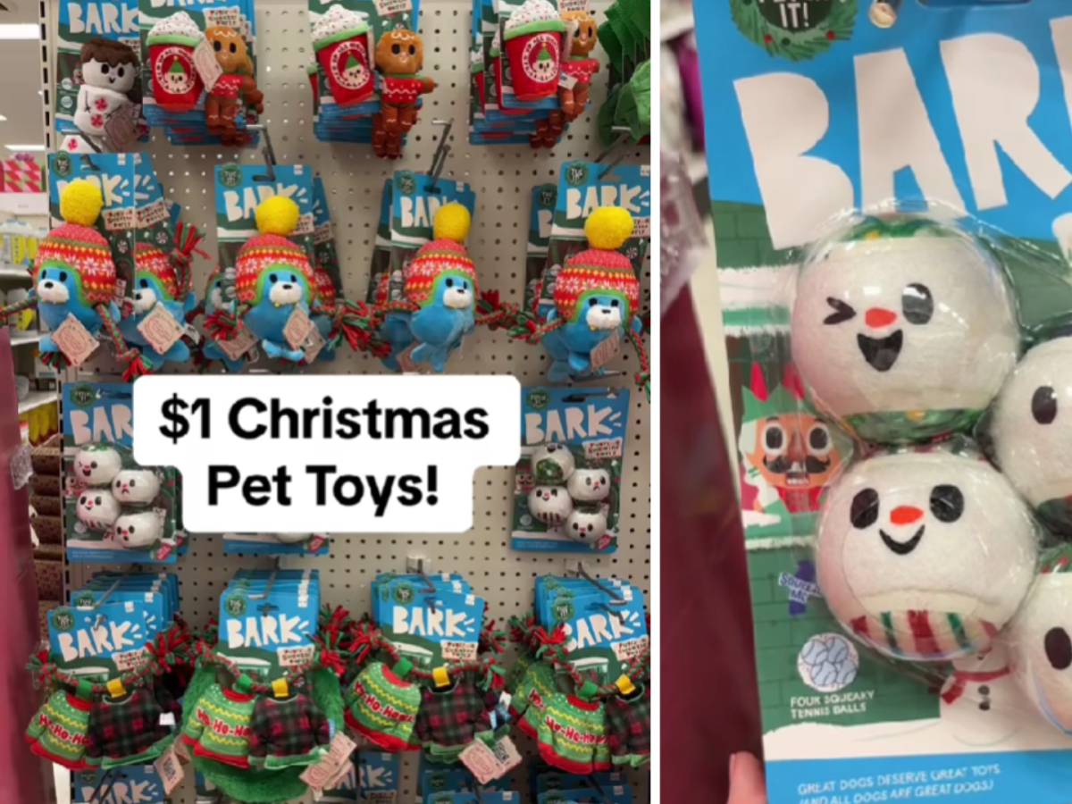 Pet 2025 toys target