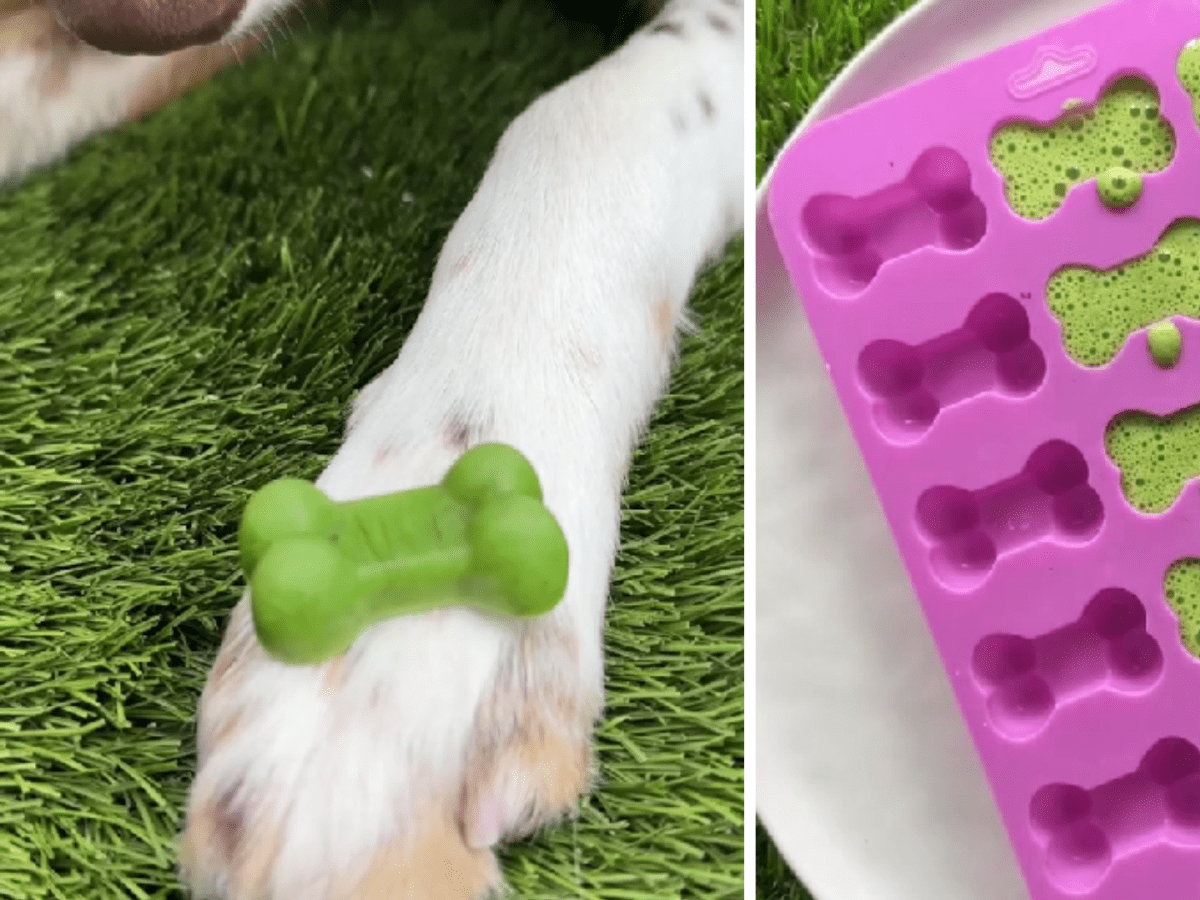 Dog mints sales