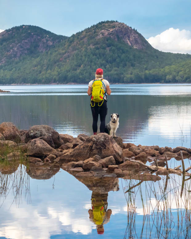 Hiker and dog at Acadia