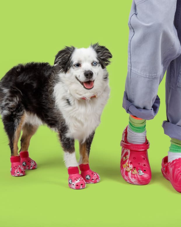 Dog crocs shoes discount