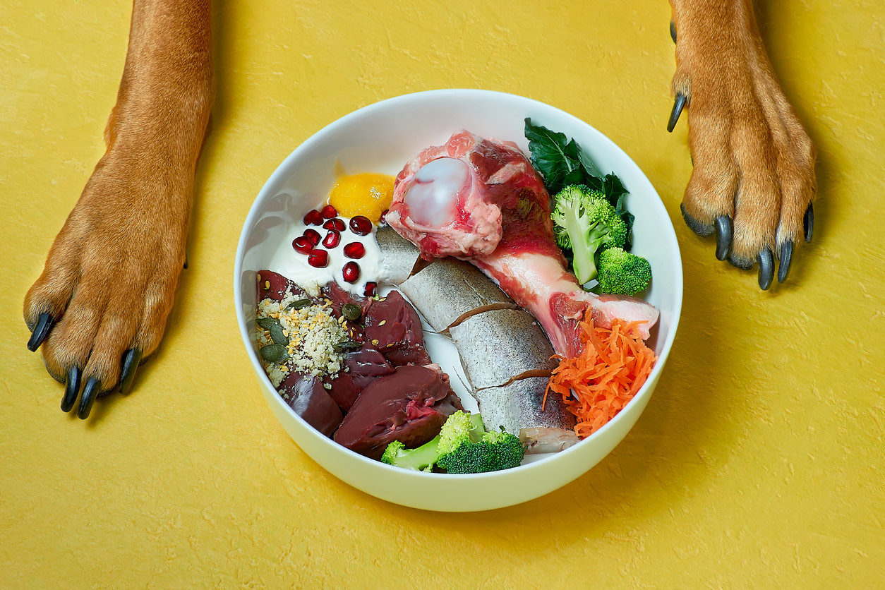 Raw Food Diet for Dogs Is It Safe?