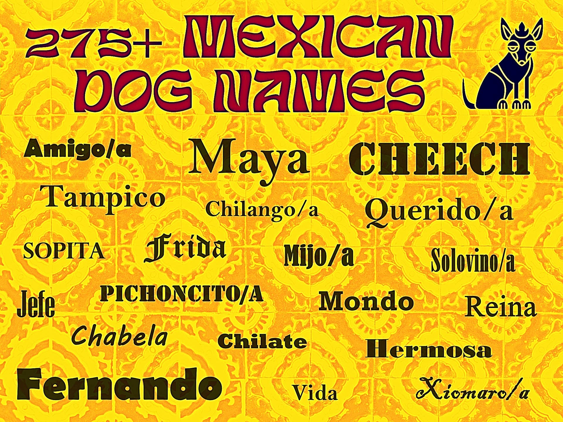 Best Mexican Names for Dogs: Unique & Charming Picks