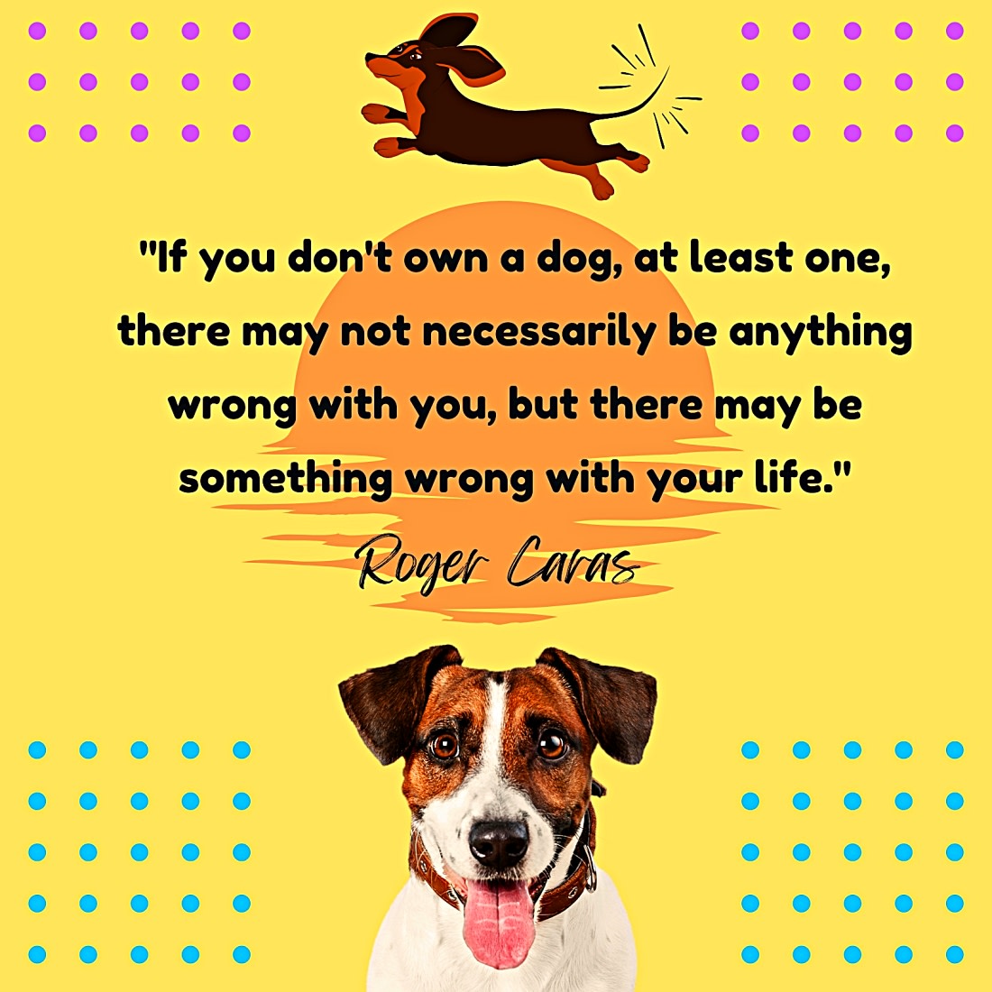 300 Best Pet Quotes of All Time - Parade Pets, image size:1100x1100