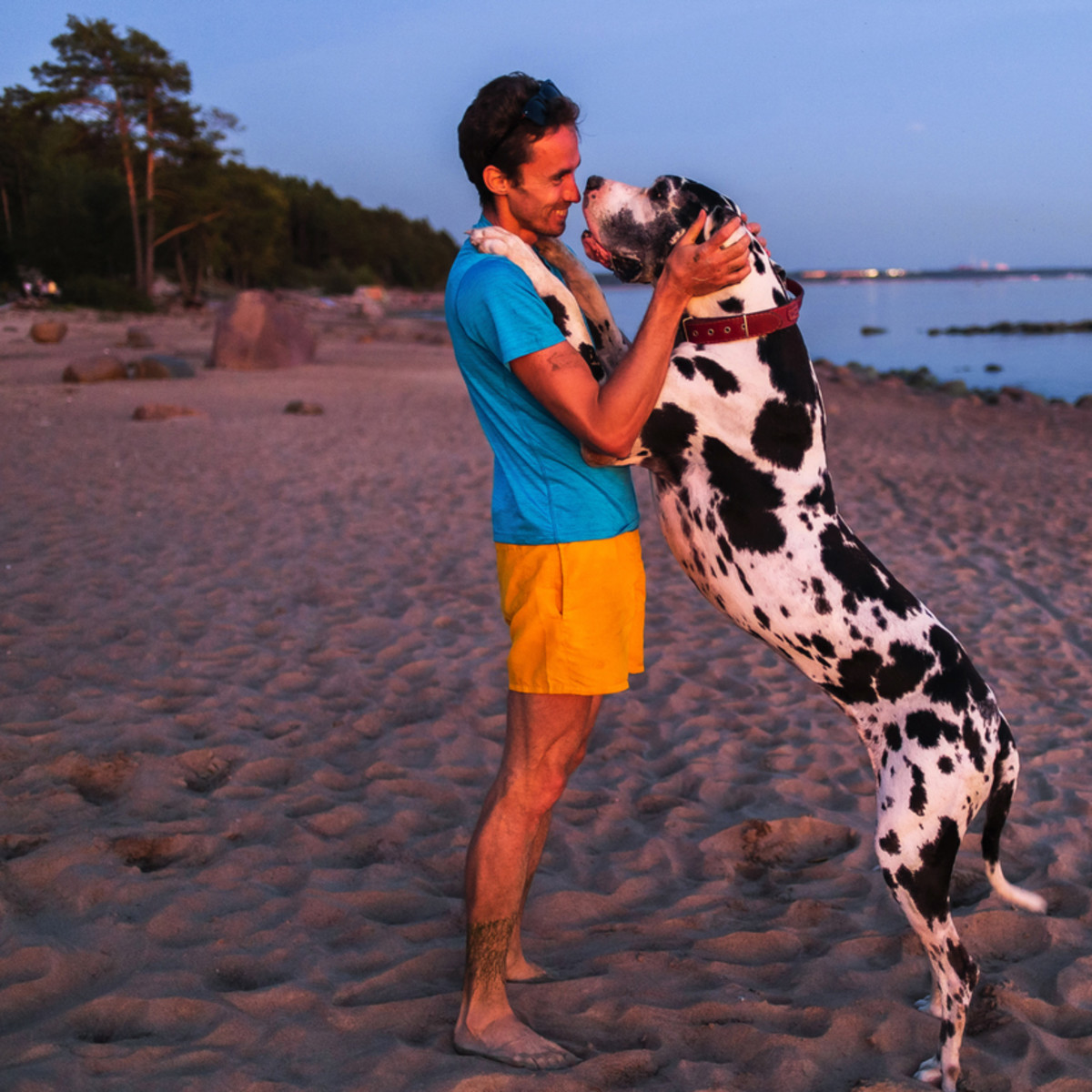 The 15 Biggest Dog Breeds in the World - Parade Pets, image size:1200x1200