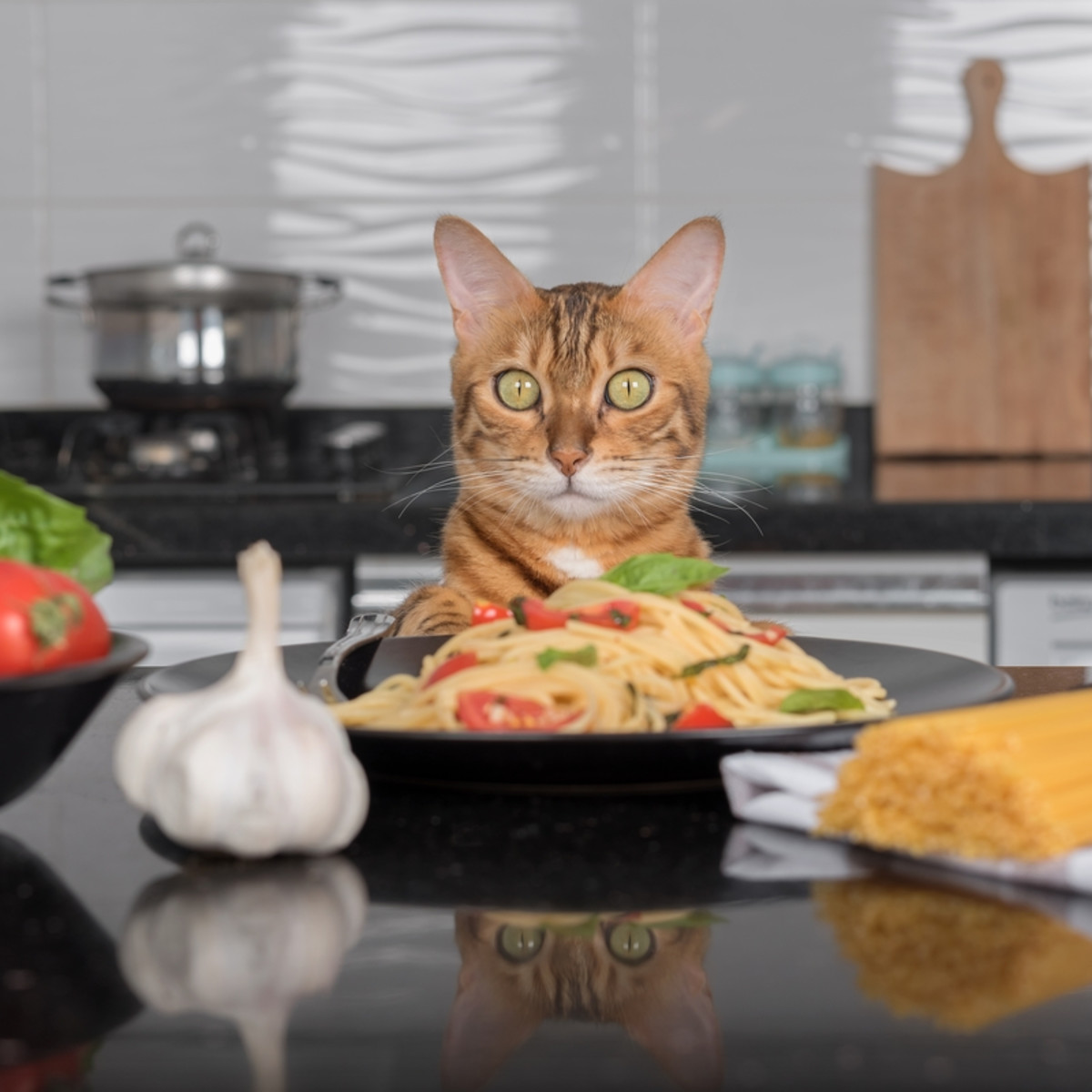 Orange Cat Has Best Meal of His Life As Mom's Cutest Dinner Date - Parade  Pets, image size:1200x1200