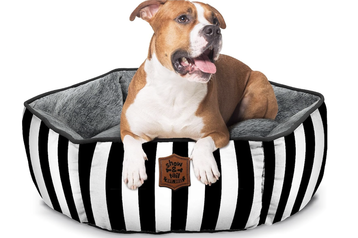 Amazon Is Selling a $40 Dog Bed That Gives Total 'Kate Spade