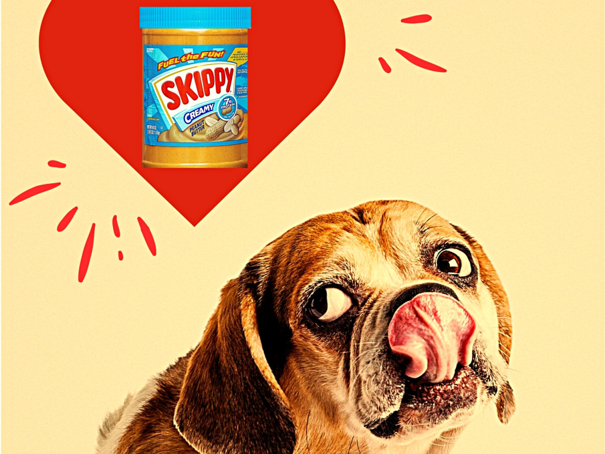 how much peanut butter can a dog have