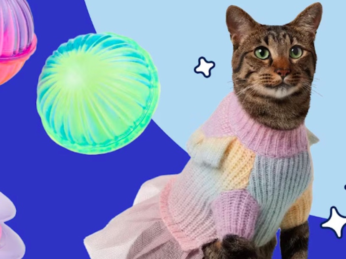 taylor-swift-chewy-toys-