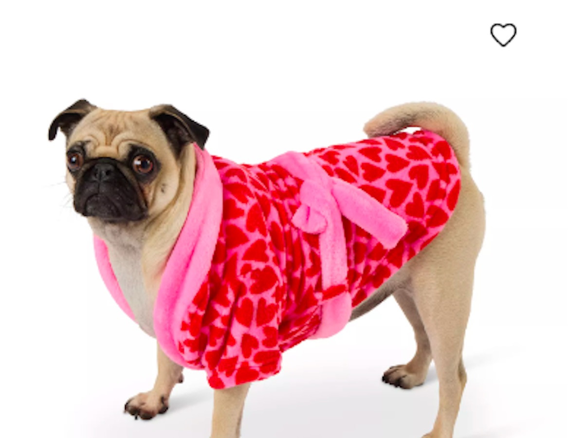 petsmart-valentines-day-dog-