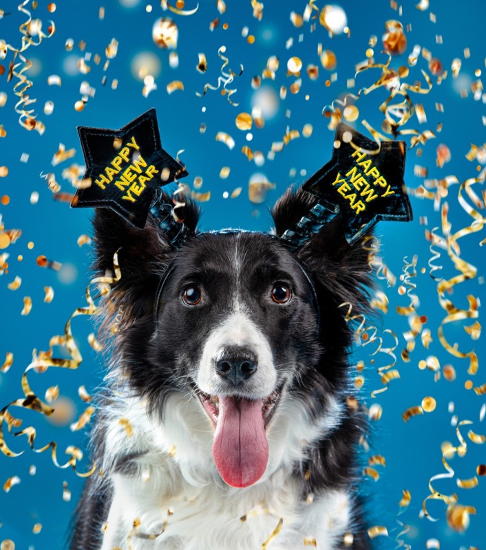 Pes na Silvestra