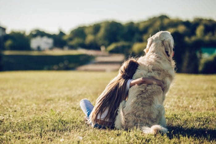 Back view of little cute girl is having fun with golden retriever on a green grass. Charming cheerful girl is sitting with dog labrador.