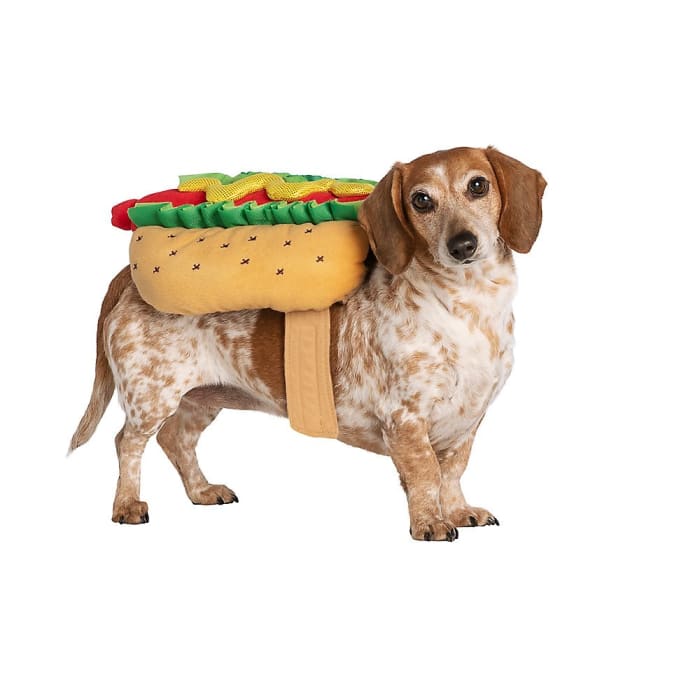 40 Best Dog Halloween Costumes (2021) — Cute Dog Costumes for Halloween Parade Pets