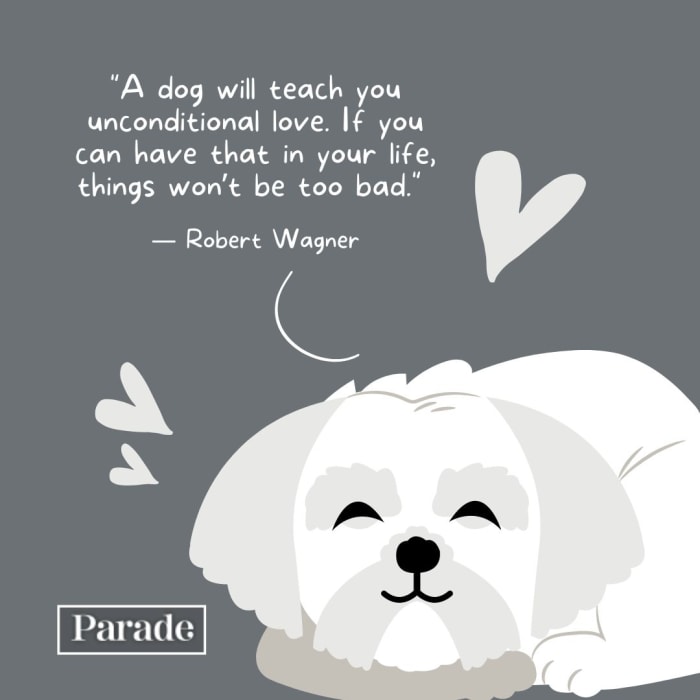 300+ Best Pet Quotes To Share Your Love - Parade Pets