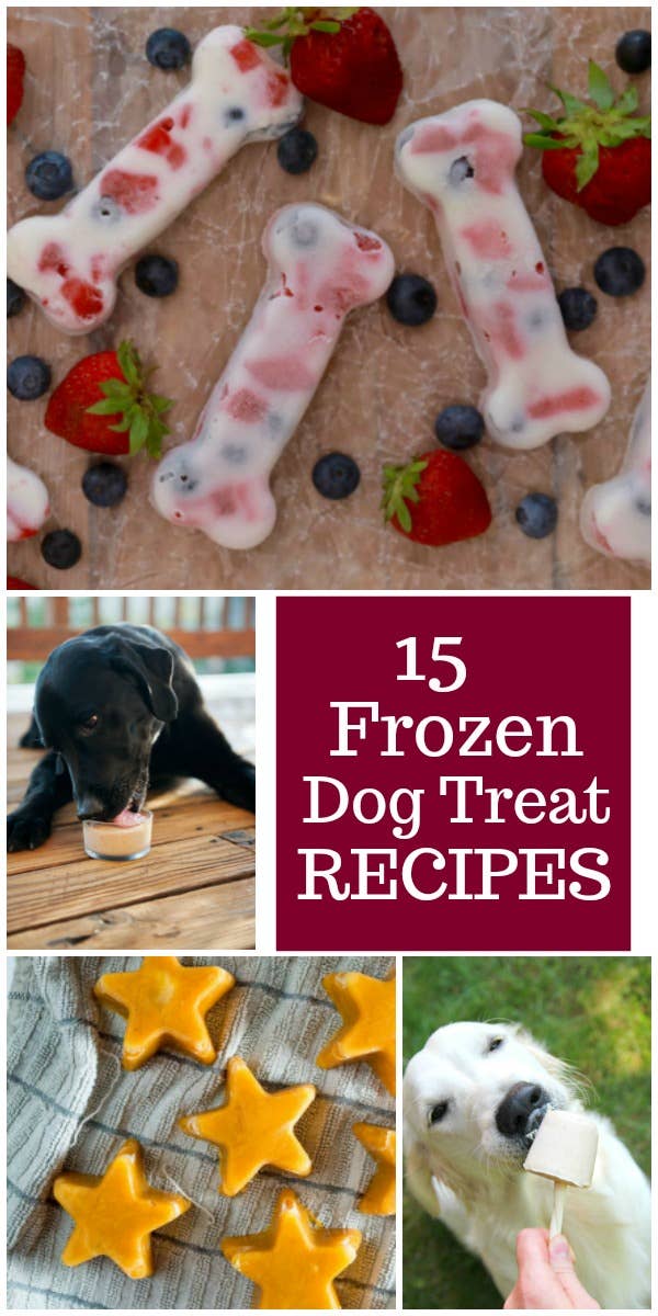 15 Easy Homemade Frozen Dog Treat Recipes for Summer Parade Pets