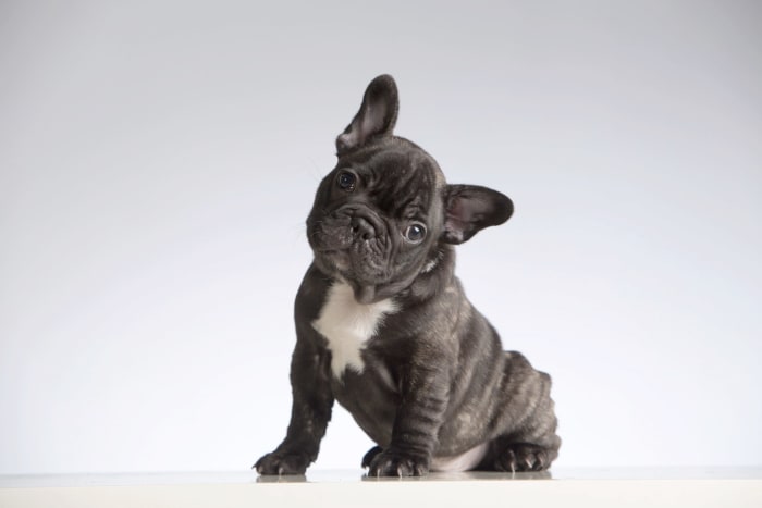 iStock