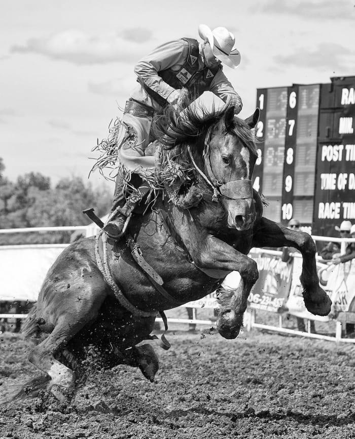 Photos: The Wildest Rides at the 68th Miles City Bucking Horse Sale ...