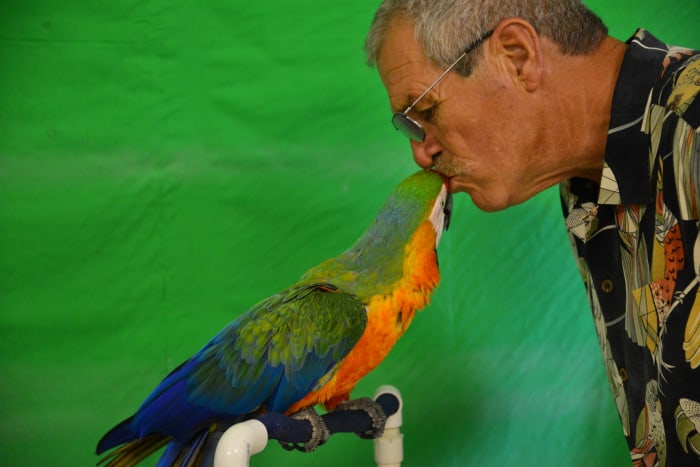Ron Johnson, founder and CEO of Feathered Friends Forever, gives and gets a kiss from KayTee. (Photo courtesty of Feathered Friends Forever.)