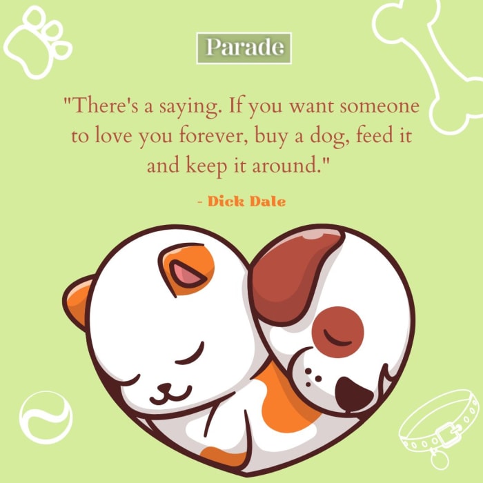 300 Best Pet Quotes to Share Your Love of Animals - Parade Pets