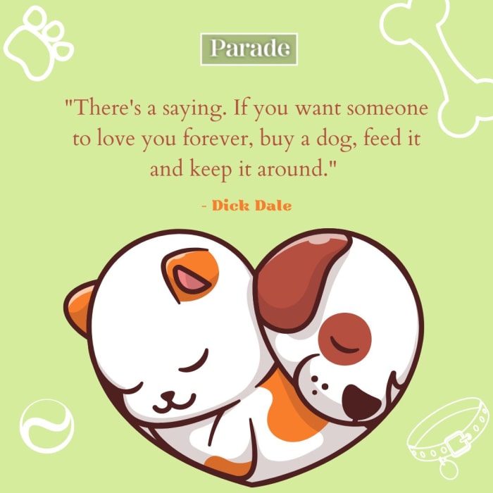 300 Best Pet Quotes To Share Your Love Of Animals Parade Pets
