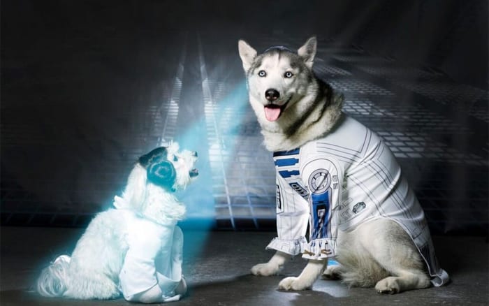
"My ship has fallen under attack. I'm afraid my mission to bring you to The Kingdom of Treats has failed."