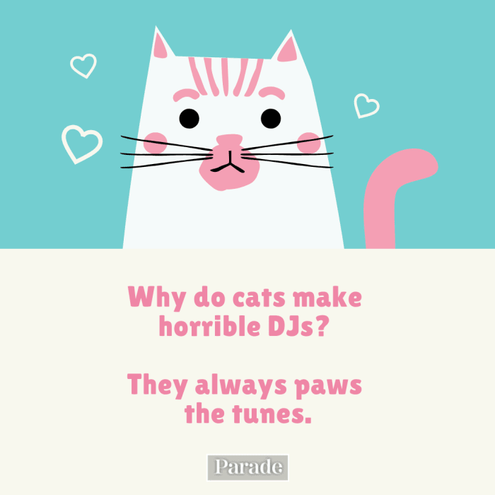 50 Funny Cat Jokes Fur You Right Meow Parade Pets