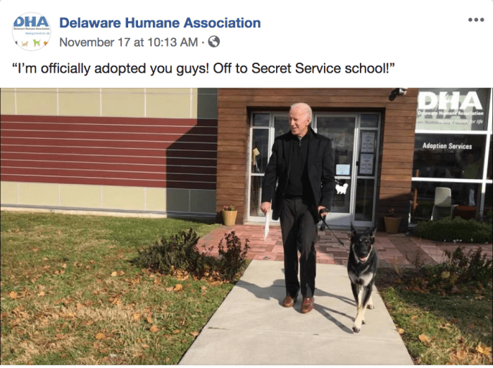Joe Biden Just Adopted This Adorable Dog Parade Pets joe-biden-just-adopted-this-adorable-dog-parade-pets