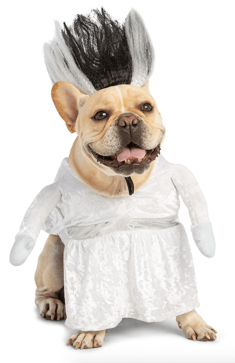 40 Best Dog Halloween Costumes (2021) — Cute Dog Costumes for Halloween ...