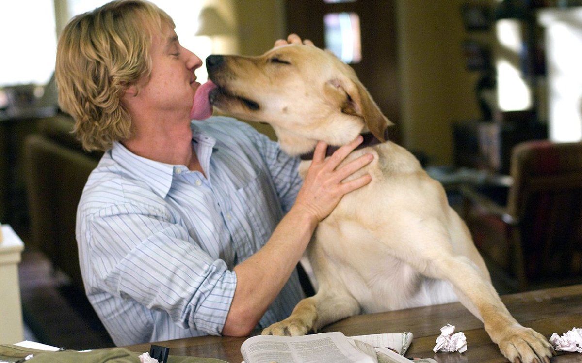 67 Best Dog Movies