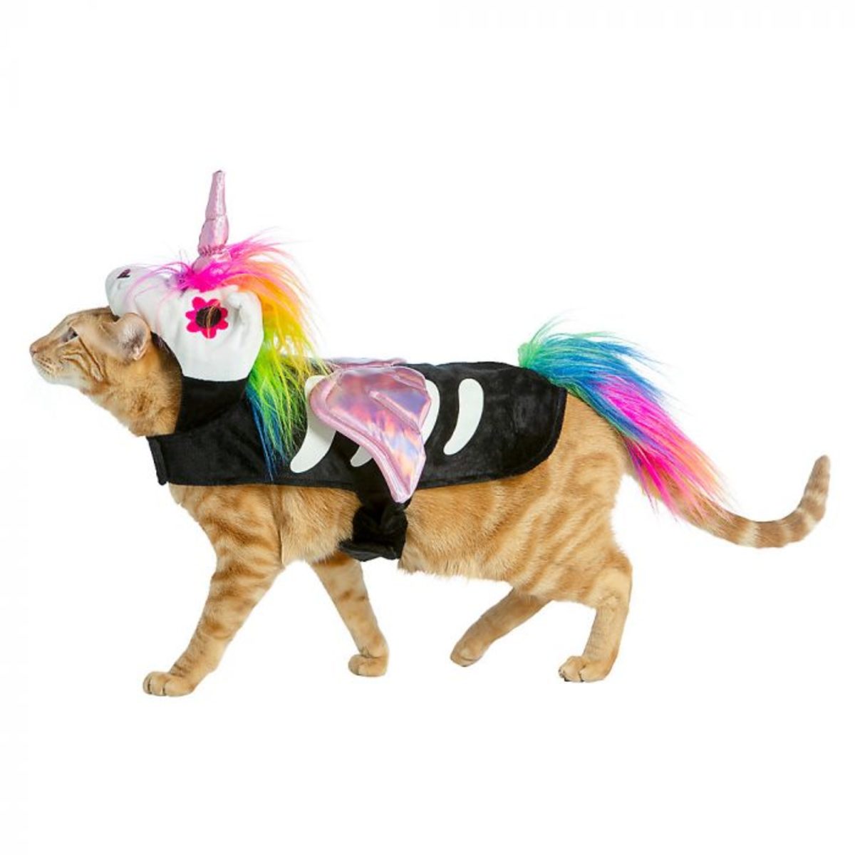 Cat unicorn hotsell halloween costume