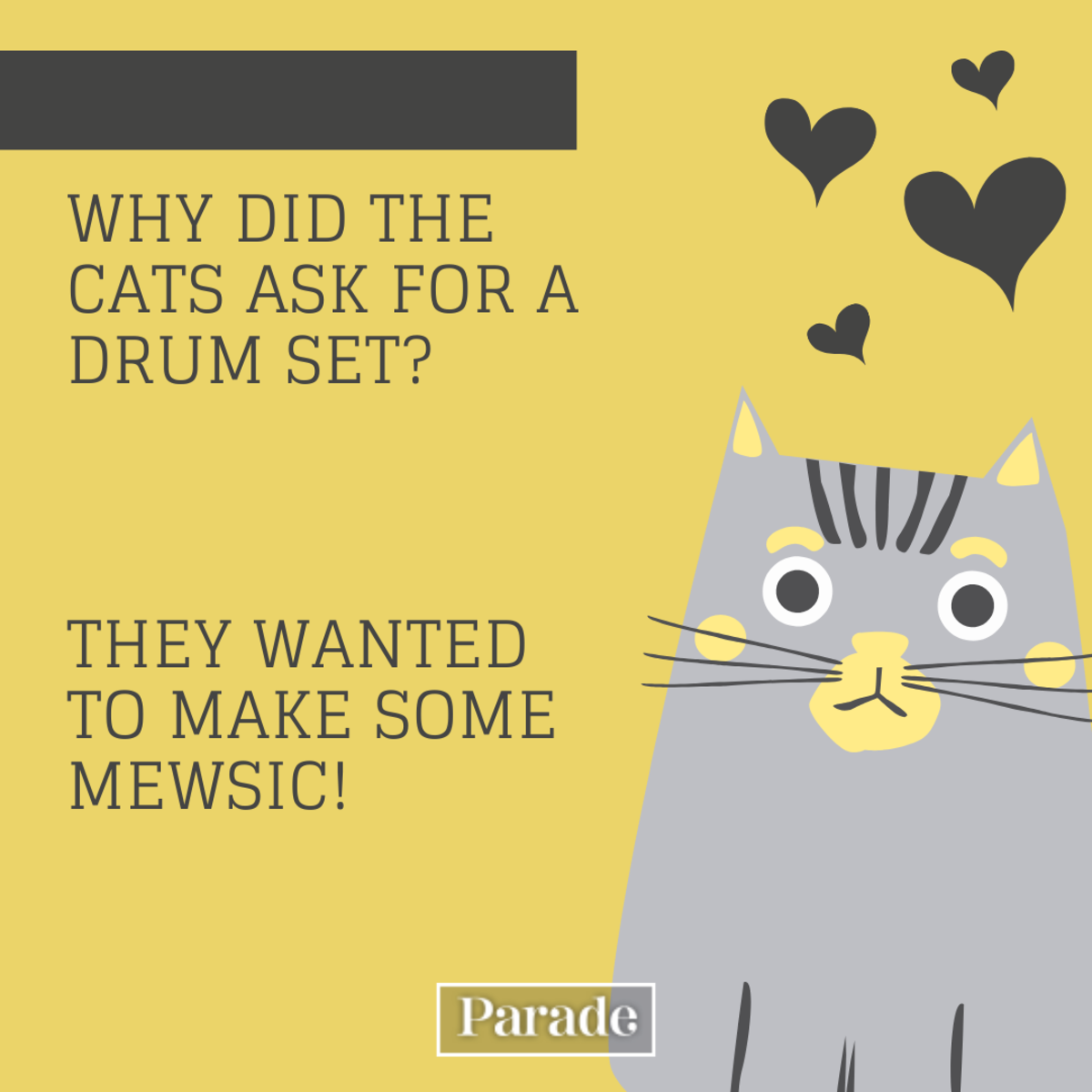 50 Funny Cat Jokes Fur You Right Meow! - Parade Pets