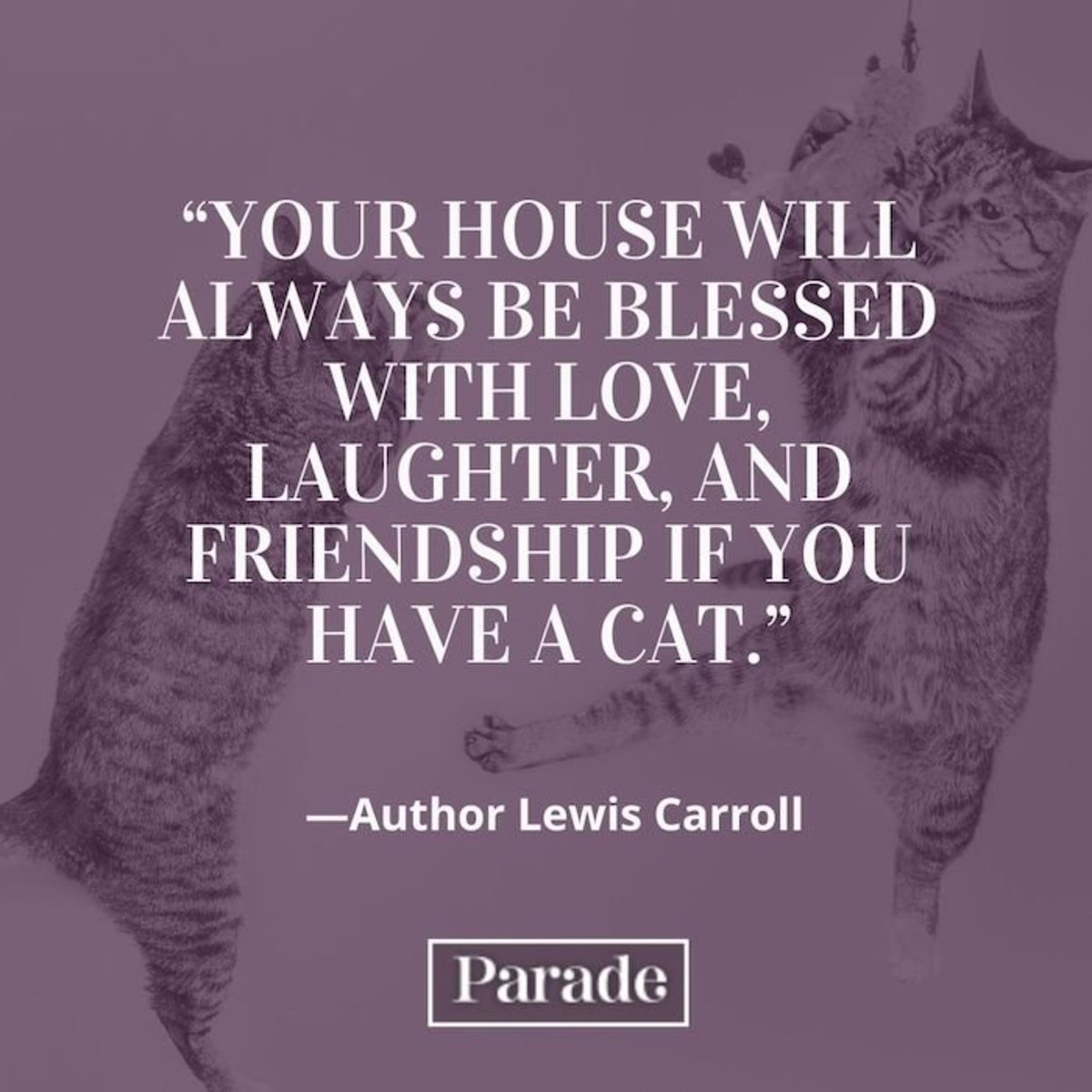 Famous-Cat-Quotes-3