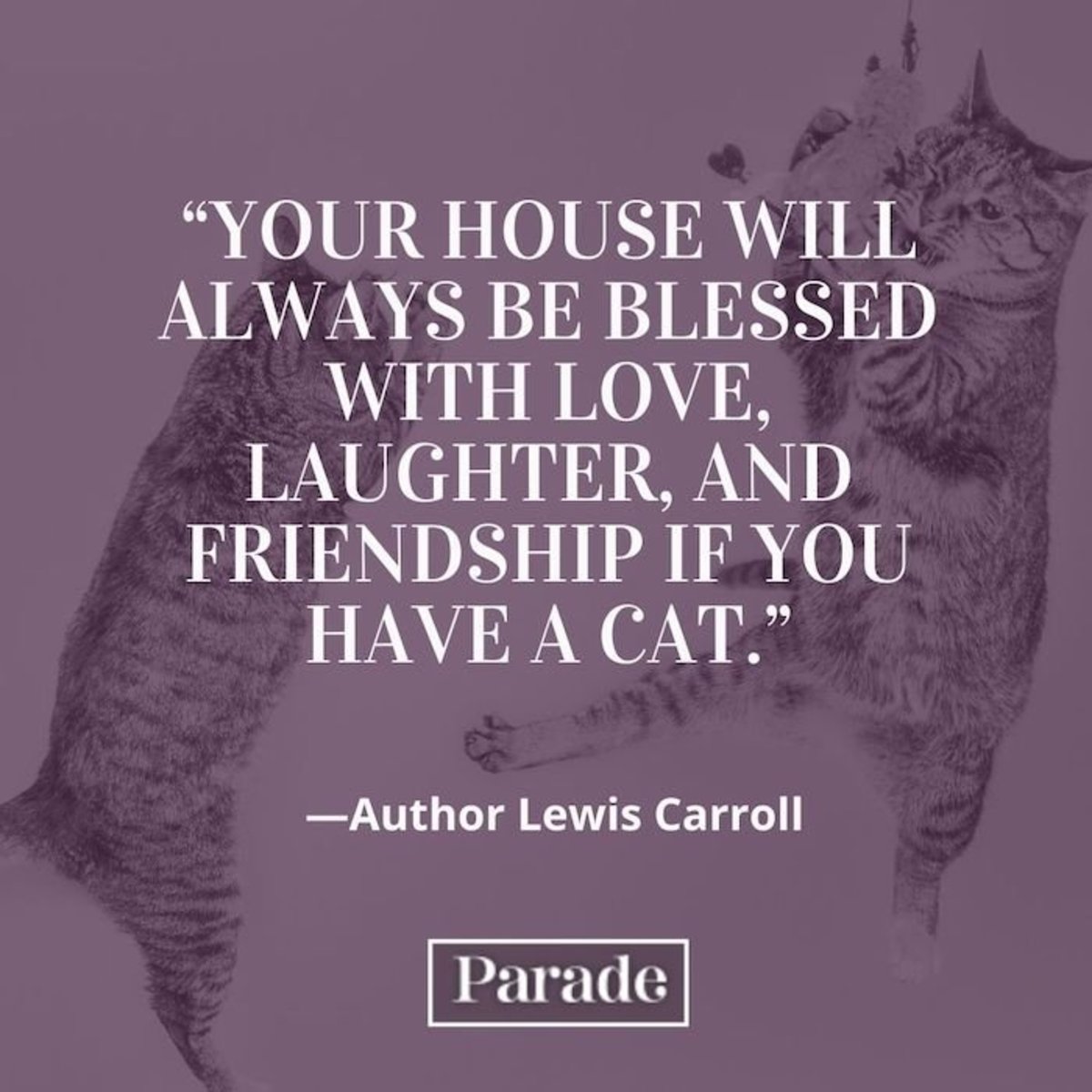 60-cat-quotes-best-quotes-about-cats-parade-pets