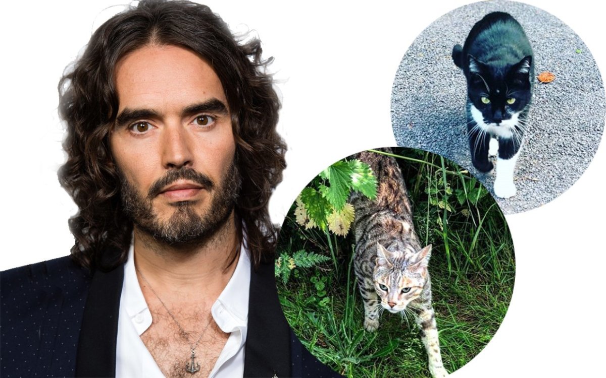 Russell Brand.Jericho and Morris-FTR