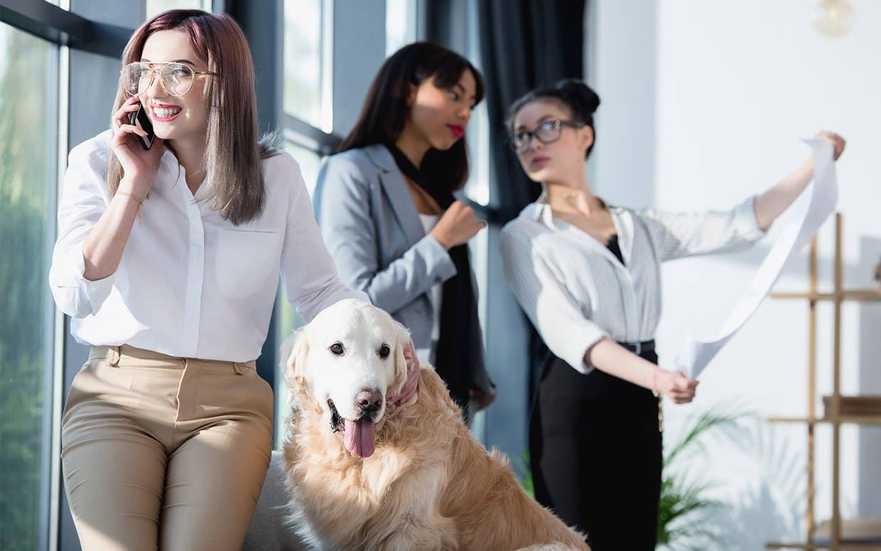Millennials Say They Would Take A Pay Cut If They Could Take Their Pets 