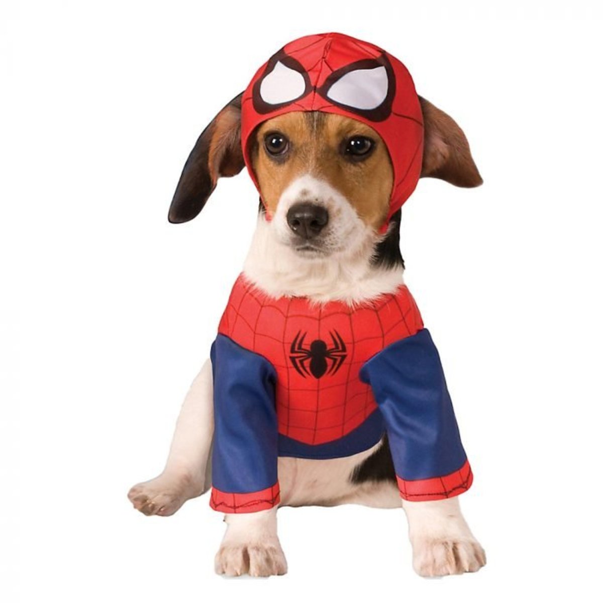 Spiderman Dog Halloween Costume