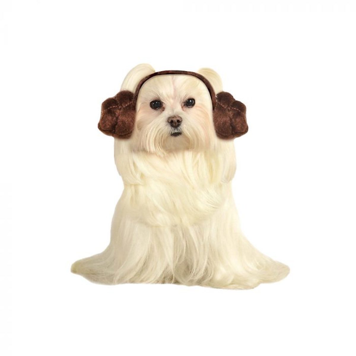 Princess Leia Buns Dog Halloween Costume