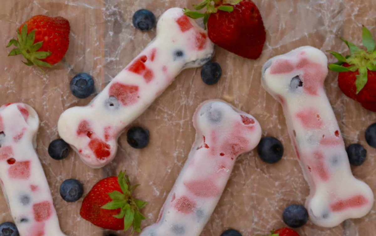 Homemade Frozen Dog Treats