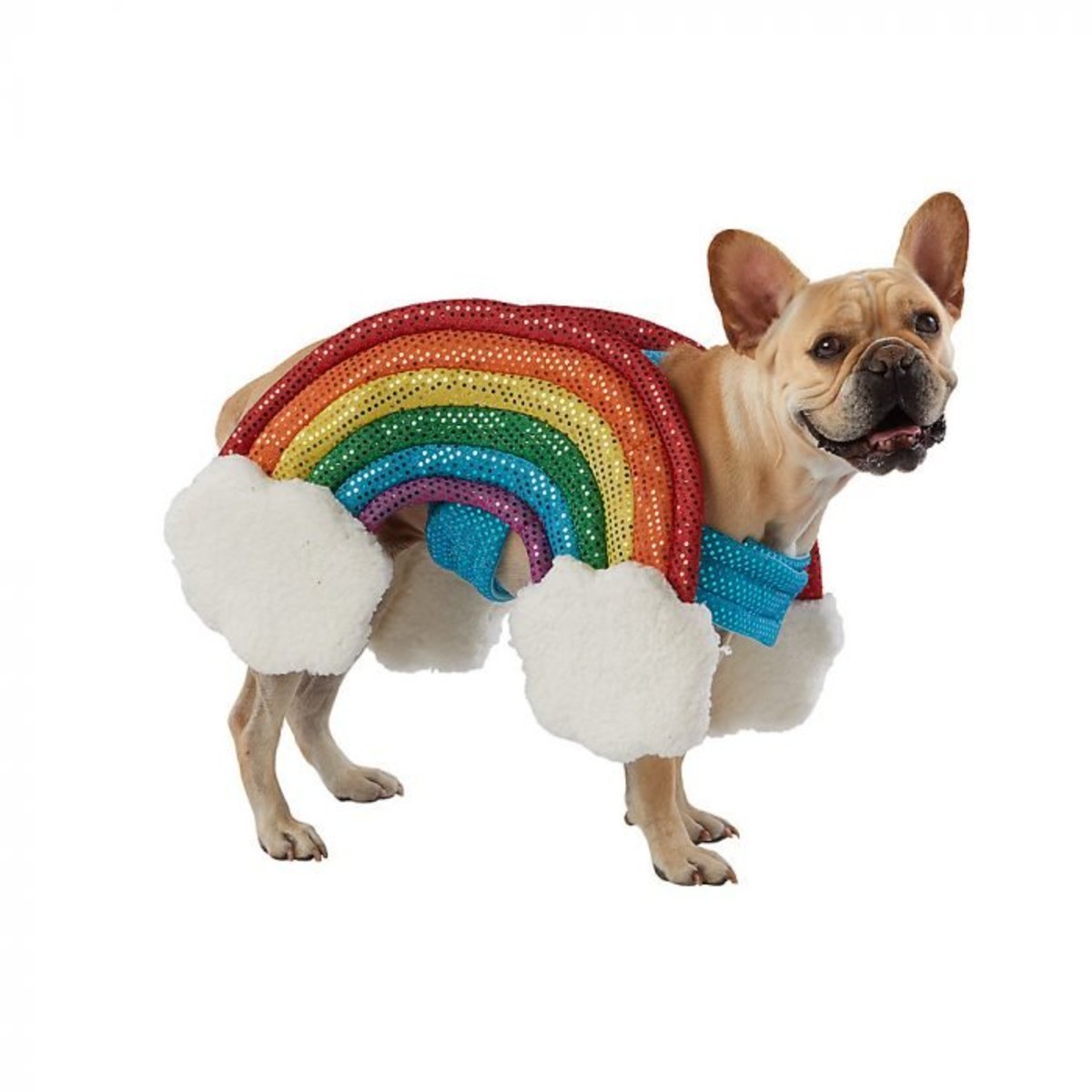 Pride Rainbow Dog Halloween Costume