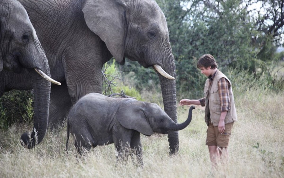 The Perfect Movie for Save the Elephant Day - Parade Pets