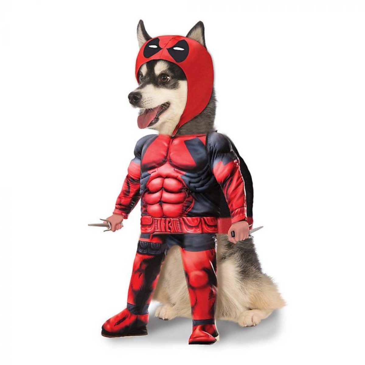 Deadpool Dog Halloween Costume