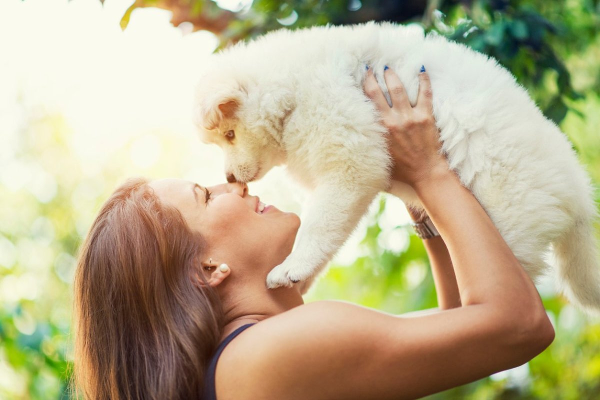 15 Most Affectionate Dog Breeds Loving Dog Breeds Parade Pets