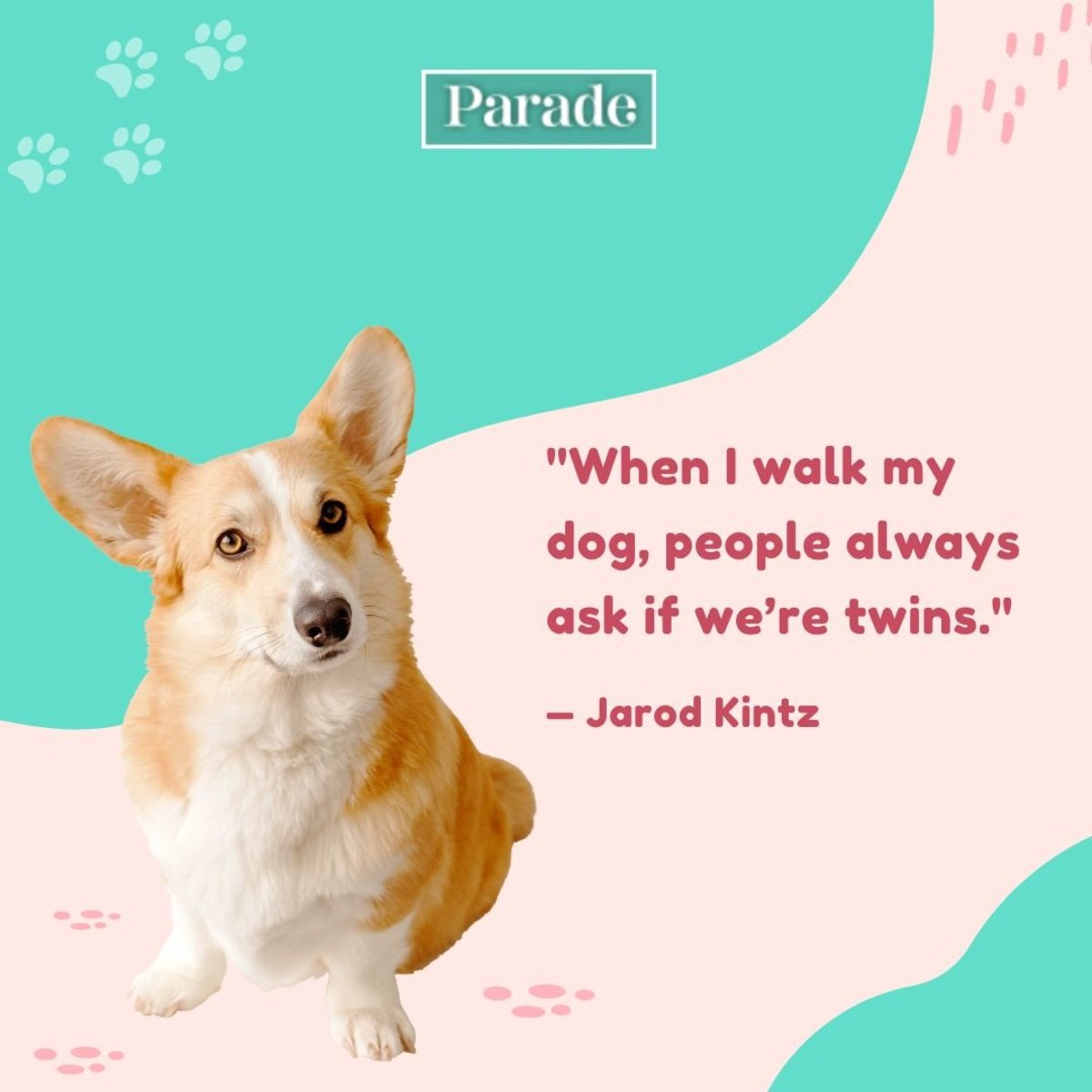 311 Best Pet Quotes - Parade Pets