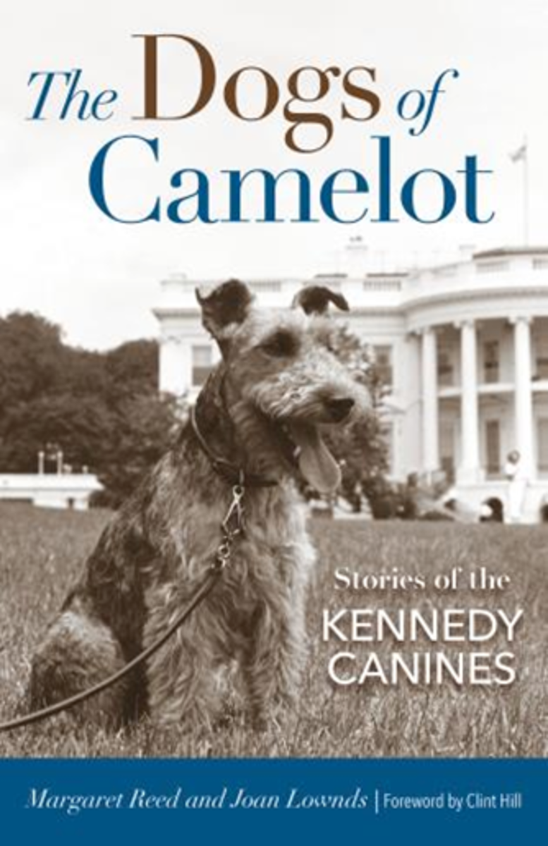 book jacket dogs of camelot