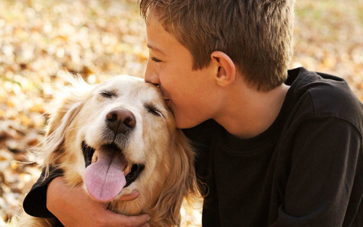 8 Ways Our Pets Keep Us Healthy - Parade Pets