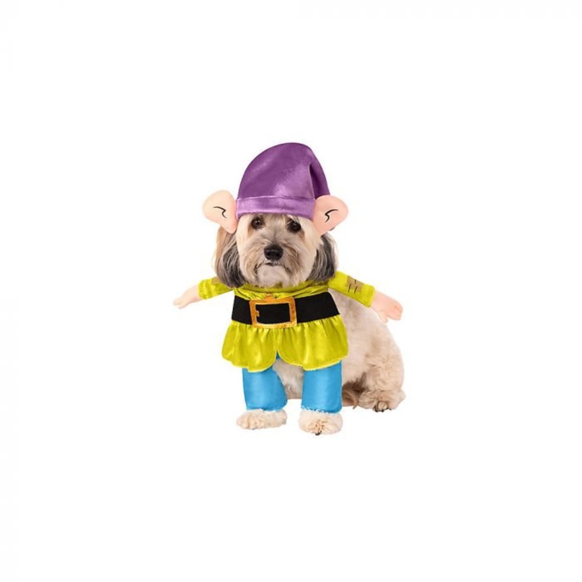 Snow White Dopey Dog Halloween Costume