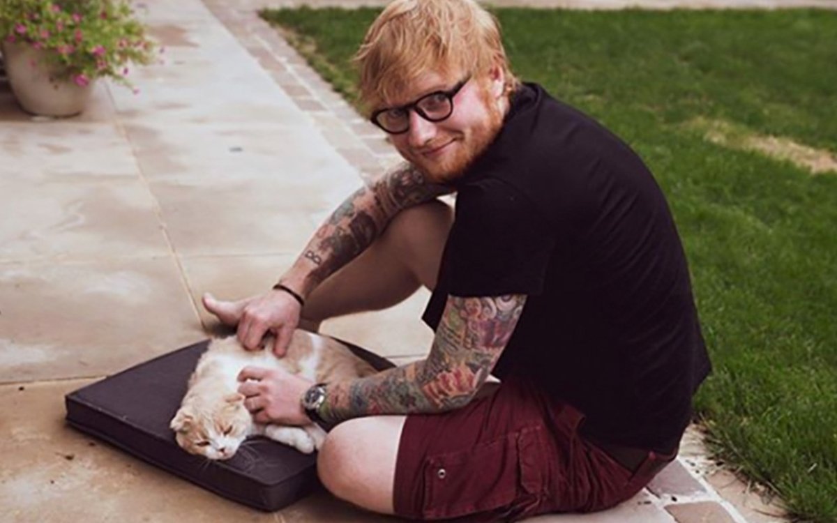Ed Sheeran with cat-FTR