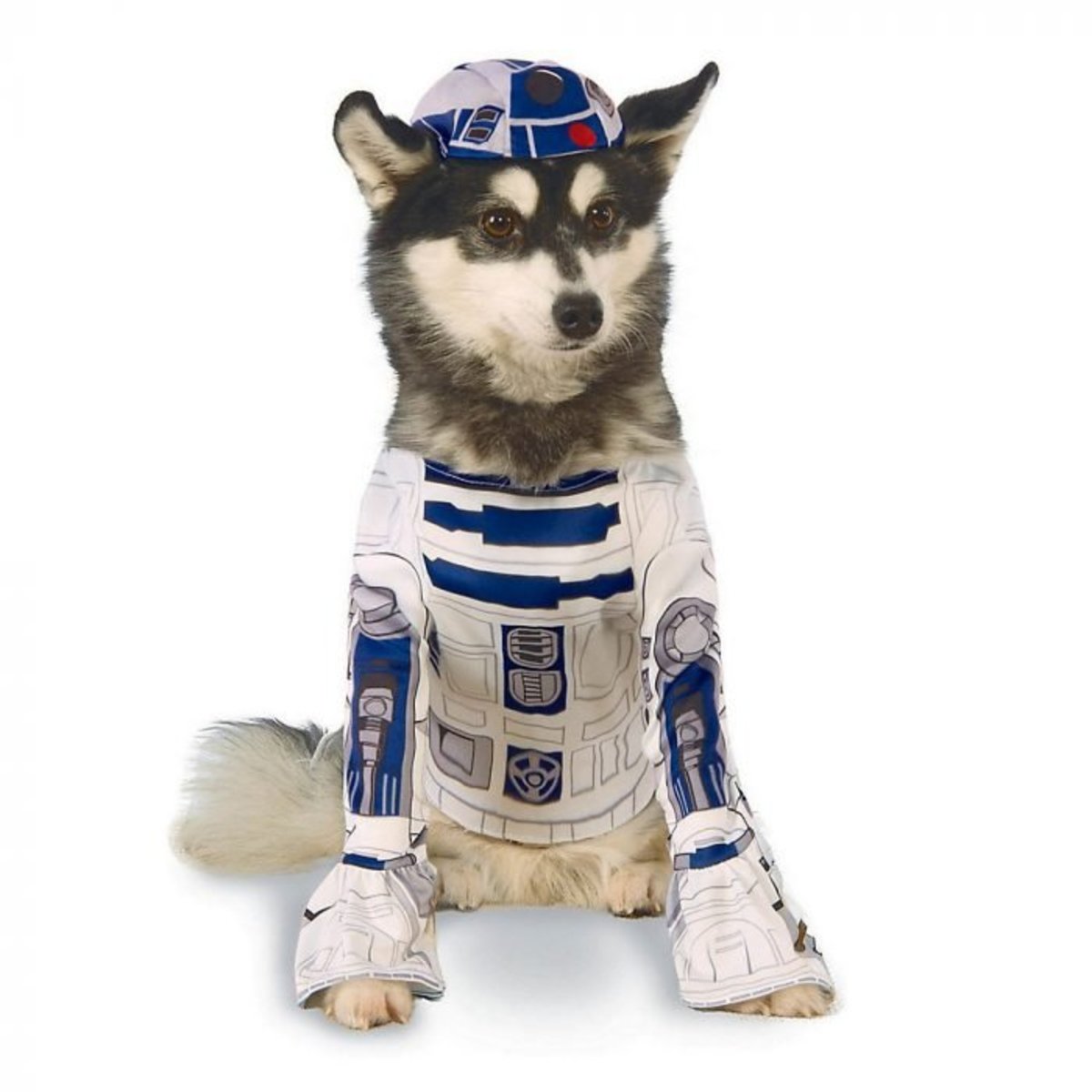 Star Wars R2D2 Dog Halloween Costume