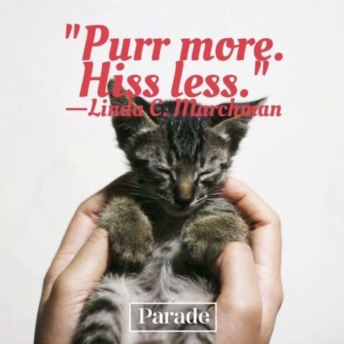 60 Cat Quotes — Best Quotes About Cats - Parade Pets