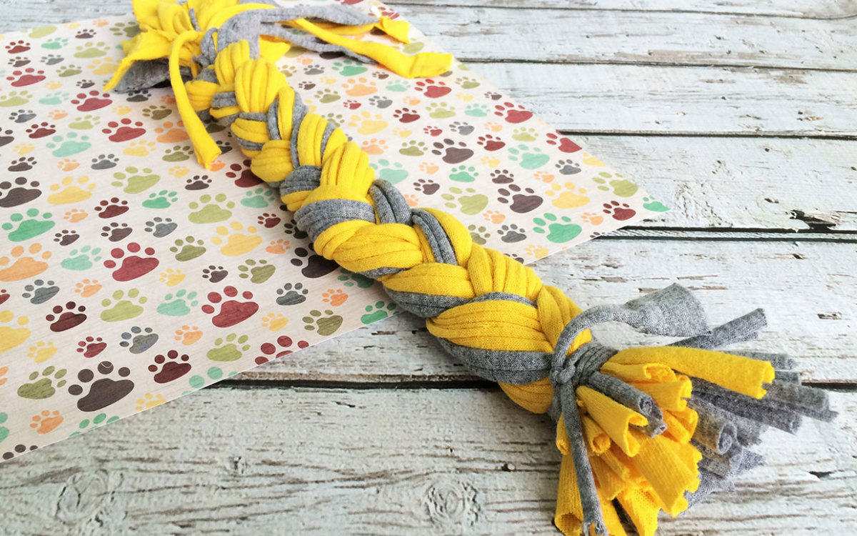 Make an Easy, Upcycled Dog Toy Out of T-Shirts for Earth Day - Parade Pets